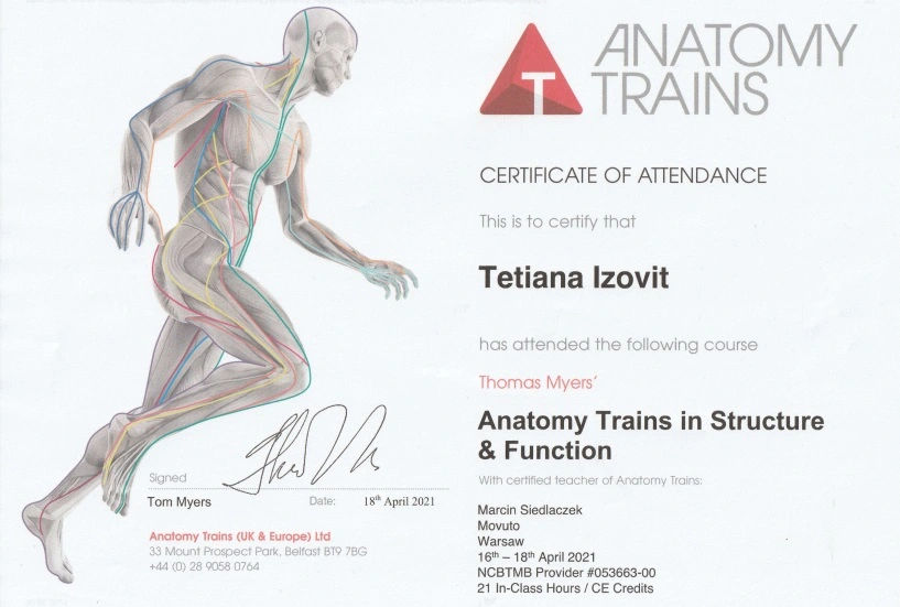 Certyfikat Anatomy Trains in Structure & Function - ReLimf Żory